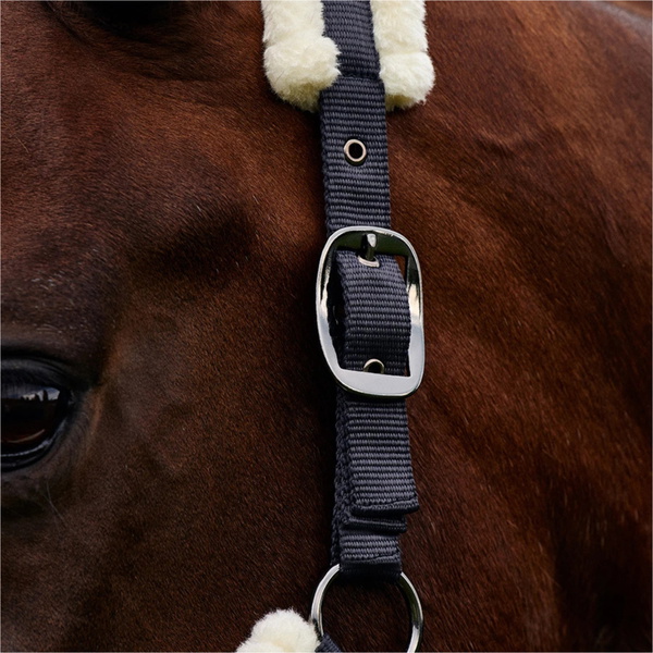 2026 Dublin Soft Fit Headcollar 1031034 - Navy